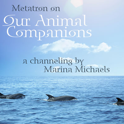 Album art for Our Animal Companions; dolphins swimming in the ocean with album text