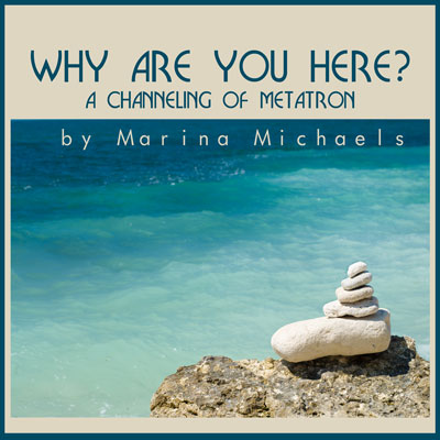 Album art for Why Are You Here?